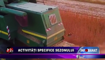 Activități specifice sezonului