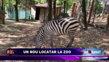 Un nou locatar la Zoo