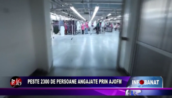 Peste 2300 de persoane angajate prin AJOFM