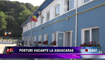 Posturi vacante la AquaCaraș