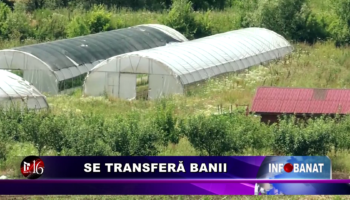 Se transferă banii