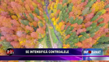 Se intensifică controalele