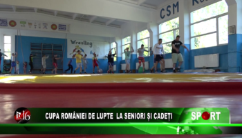 Cupa României de lupte la seniori și cadeți