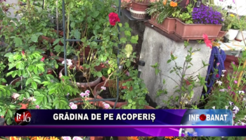 Grădina de pe acoperiș