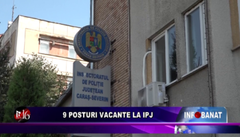 9 posturi vacante la IPJ