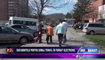 Documentele pentru șomaj tehnic, în format electronic