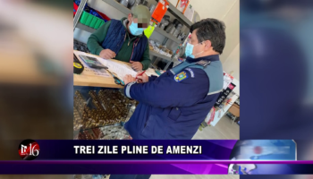 Trei zile pline de amenzi