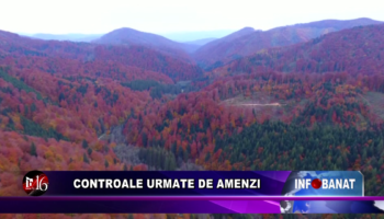 Controale urmate de amenzi