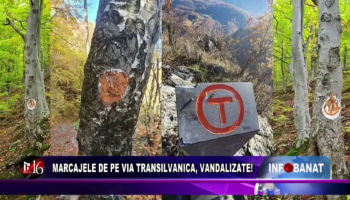 Marcajele de pe Via Transilvanica, vandalizate!