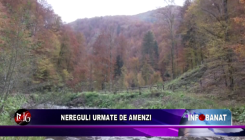 Nereguli urmate de amenzi