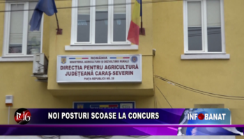 Noi posturi scoase la concurs