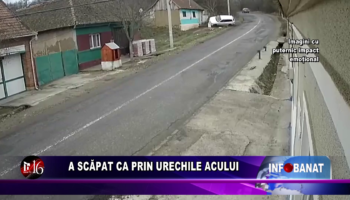 A scăpat ca prin urechile acului