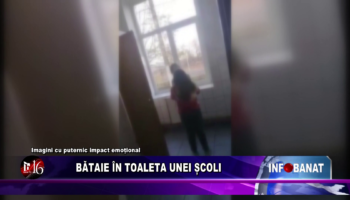 Bătaie în toaleta unei școli