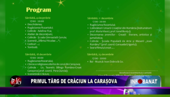 Primul târg de Crăciun la Carașova