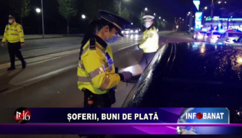 ȘOFERII, BUNI DE PLATĂ