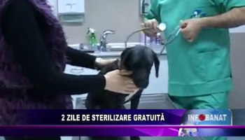 2 ZILE DE STERILIZARE GRATUITĂ