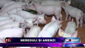 Nereguli și amenzi