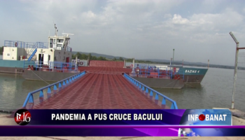 Pandemia a pus crucea bacului