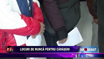 Locuri de muncă pentru cărășeni