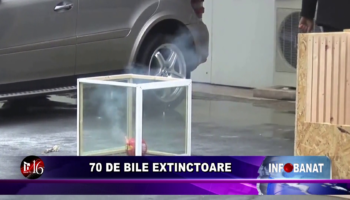 70 de bile extinctoare