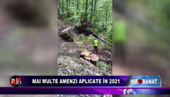 Mai multe amenzi aplicate în 2021