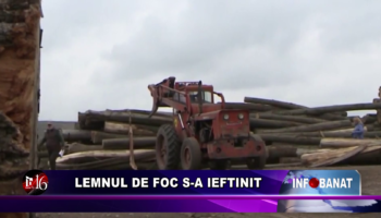 Lemnul de foc s-a ieftinit