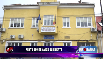 Peste 290 de avize eliberate