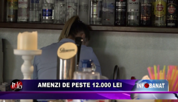 Amenzi de peste 12.000 lei