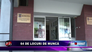 64 de locuri de muncă