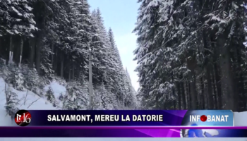 Salvamont, mereu la datorie