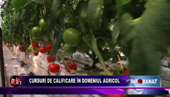 Cursuri de calificare în domeniul agricol