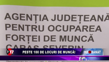 Peste 100 de locuri de muncă!