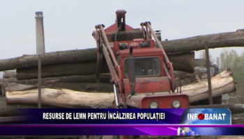 Resurse de lemn pentru încălzirea populației