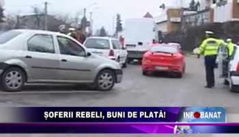 Șoferii rebeli, buni de plată!