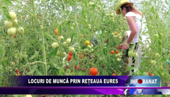 Locuri de muncă prin rețeaua EURES