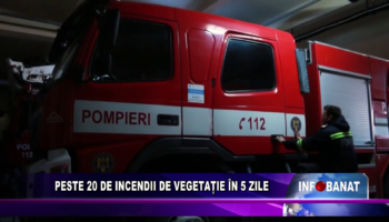 Peste 20 de incendii de vegetație în 5 zile