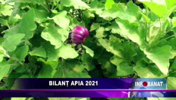 Bilanț APIA 2021