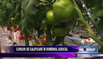 Cursuri de calificare în domeniul agricol