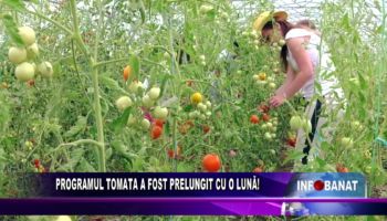 Programul Tomata a fost prelungit cu o lună!