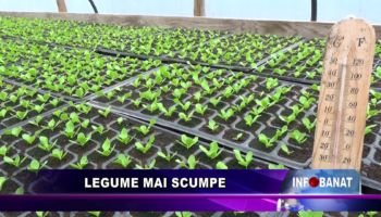 Legume mai scumpe