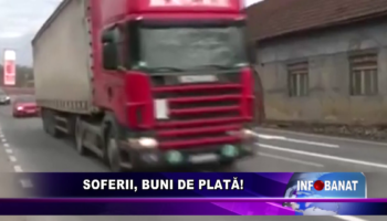 Șoferii, buni de plată!