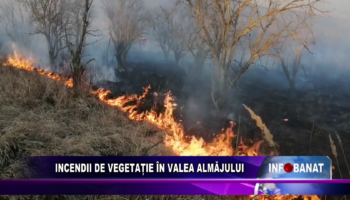 Incendii de vegetație în Valea Almăjului