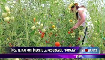 Încă te mai poți înscrie în programul “Tomata”