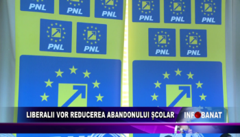 Liberalii vor reducerea abandonului școlar