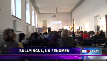 Bullyingul, un fenomen