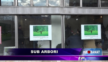 Sub arbori