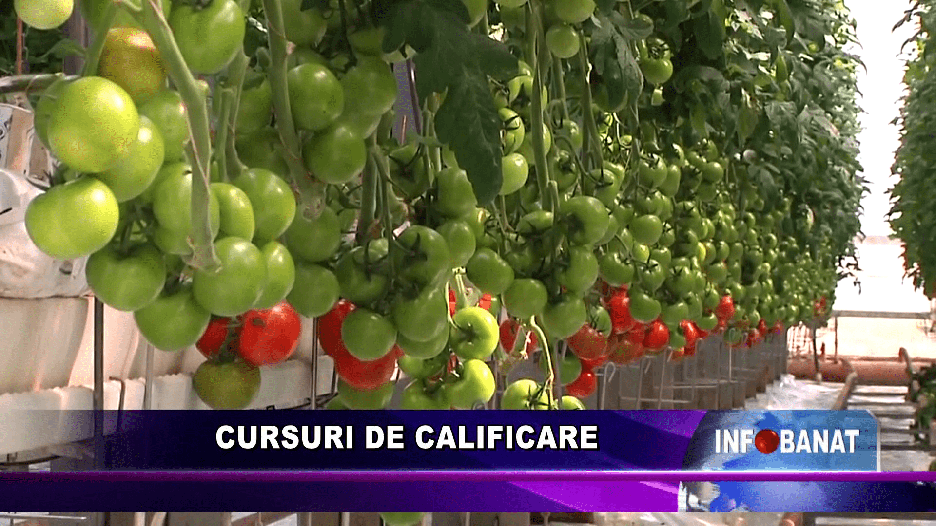 cursuri-de-calificare-banat-tv-ine-cu-tine