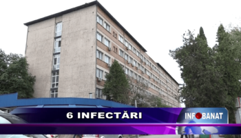 6 infectări