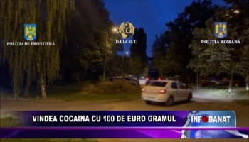 Vindea cocaina cu 100 de euro gramul