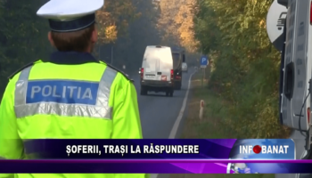 Șoferii, trași la răspundere